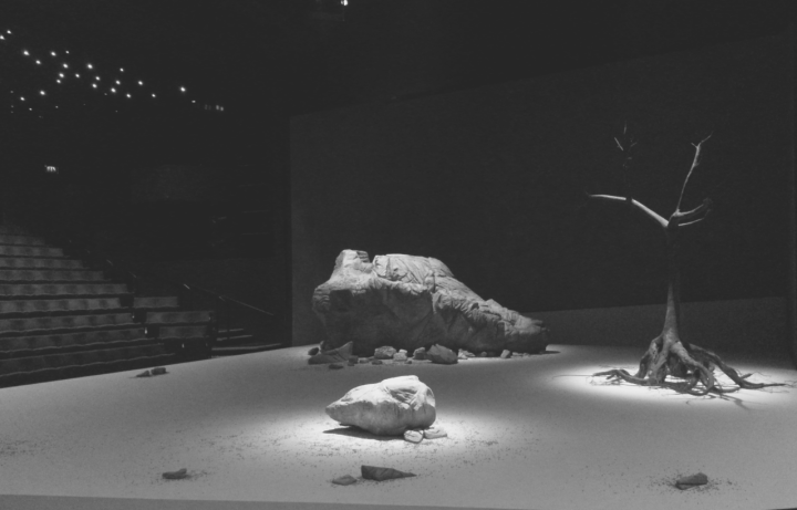 The set of Waiting for Godot in Sheffield's Crucible Lyceum Studio in Yorkshire